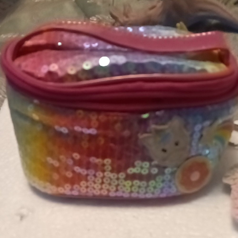 Colorful Sequin Pouch
